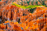 Lever de Soleil à Bryce Point
