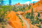 Tropic Ditch Falls