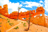 Turret Arch & Little Windows