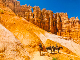 Balade à cheval