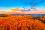 Rim Trail