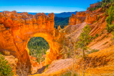 Natural Bridge