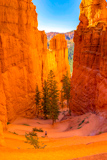 Switchbacks
