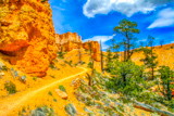 Fairyland Loop