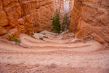 Switchbacks