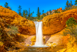 Tropic Ditch Falls