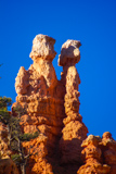 Navajo Loop Trail