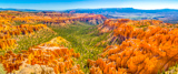 Bryce Point