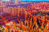 Bryce Point