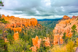 Swamp Canyon Overlook