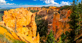 Black Birch Canyon