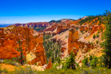Black Birch Canyon