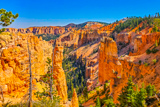 Black Birch Canyon