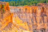 Bryce Point