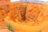 Switchbacks