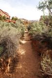 Lower Calf Creek Falls Trail