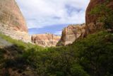 Lower Calf Creek Falls Trail