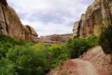Lower Calf Creek Falls Trail