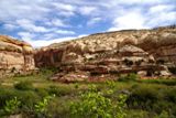 Lower Calf Creek Falls Trail
