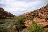 Lower Calf Creek Falls Trail
