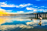 Pismo Beach