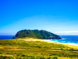 Point Sur State Historic Park