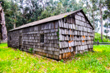 Cooper Cabin