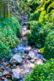 Ewoldsen Trail