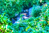 Ewoldsen Trail