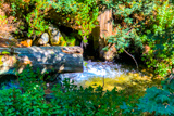 Ewoldsen Trail