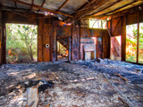 Tin House