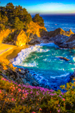 McWay Cove