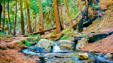 Ewoldsen Trail