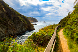 Partington Cove Trail