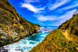 Partington Cove Trail