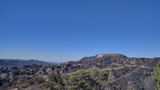 Griffith Park, vue sur Hollywood Sign