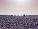 Venice Beach