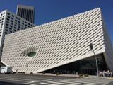 The Broad