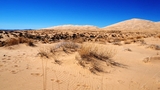 Kelso Dunes