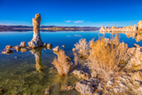 South Tufa Area