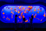 Monterey Bay Aquarium