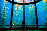 Monterey Bay Aquarium