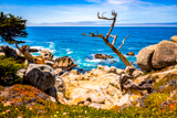 17-mile Drive