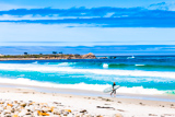 17-mile Drive