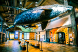 Monterey Bay Aquarium