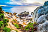 17-mile Drive
