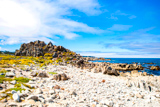 17-mile Drive