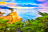 Lone Cypress