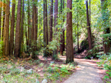 Nature Trail