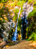 Pfeiffer Falls